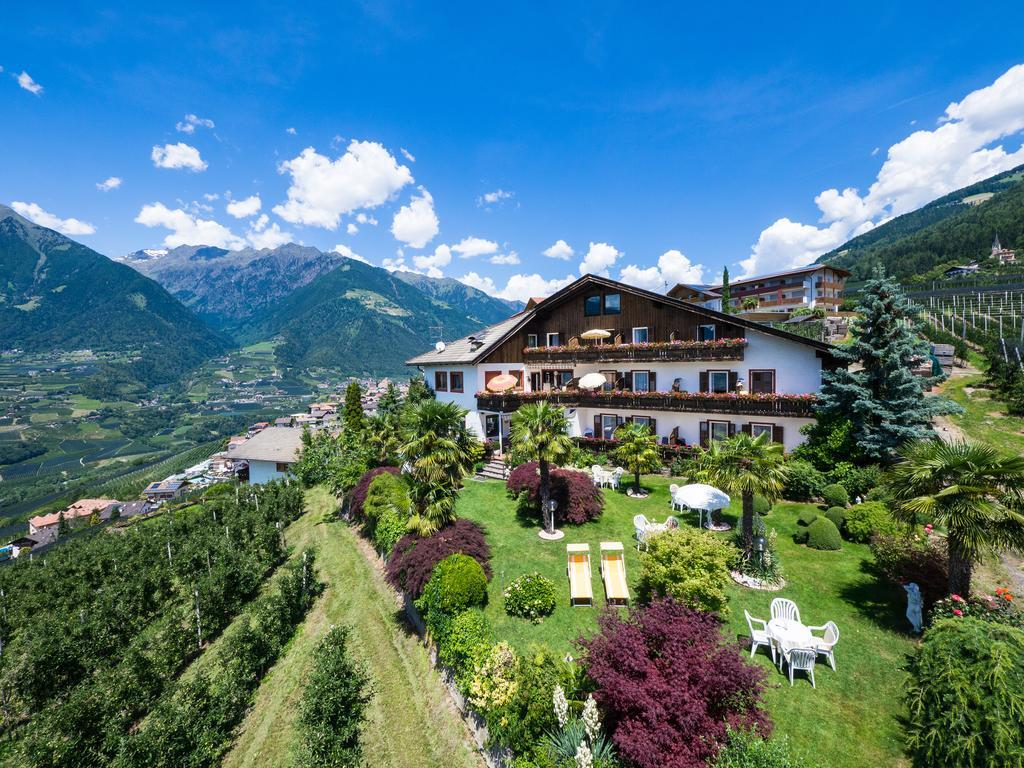 Pension Zum Burggraefler Скена Экстерьер фото