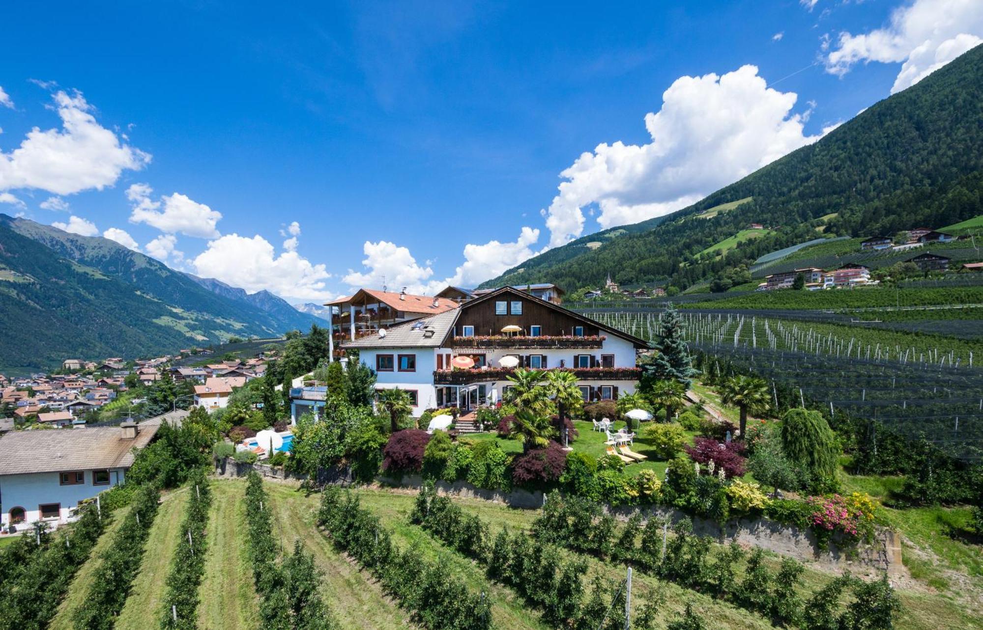 Pension Zum Burggraefler Скена Экстерьер фото