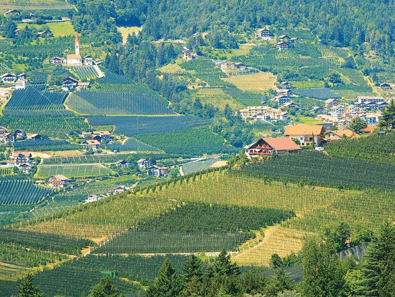 Pension Zum Burggraefler Скена Экстерьер фото